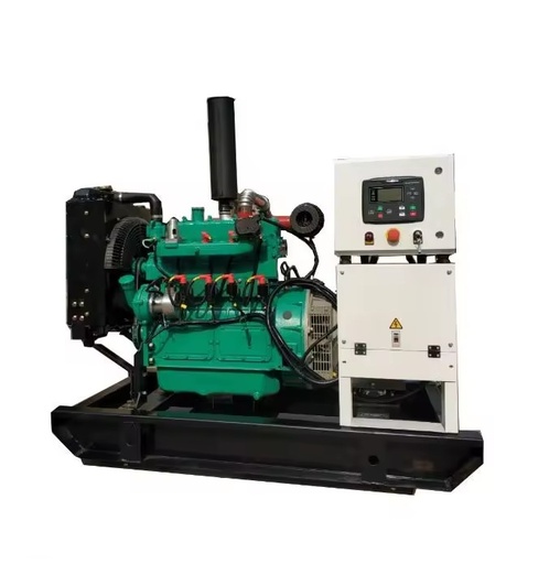 Manufacturer 10kw 15 kw 22kw Small Biogas Gas Electricity Generator Cogeneration Plant