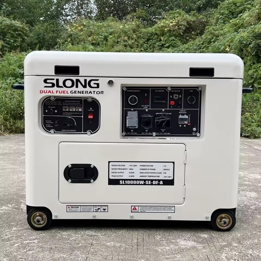 Home Use Soundproof 8KW Rated Power Generator Two Fuel Genset