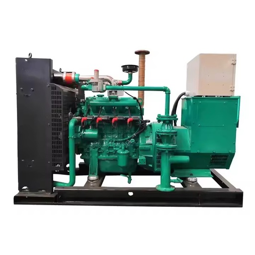 20kw 30kw 50kw 100kw 200kw 300kw 500kva 1 Mw Gas Powered Electric Generators