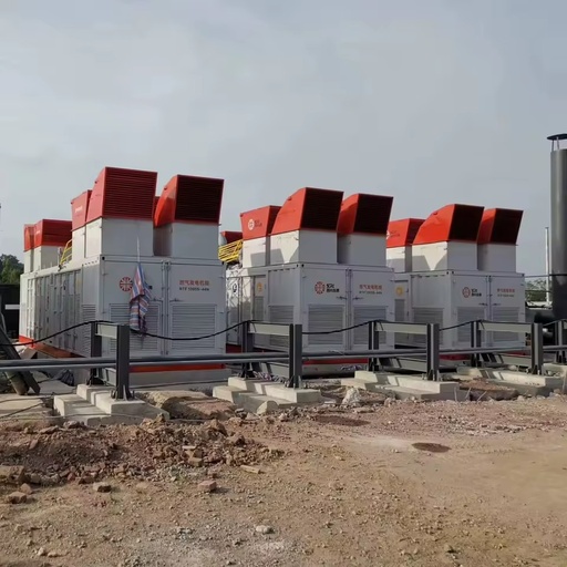 Custom 1000W Gas Power Generator with 500kw 300kw 250kw Energy Saving Engines Low Noise and Core Included