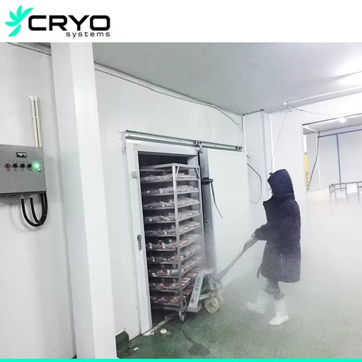 New Seafood Freezer Room with Motor Corrosion Resistant Cold Storage and Solar Panel Energy Saving for Fish Market