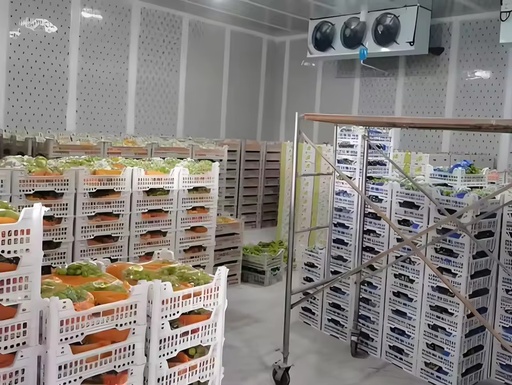 Industrial Large Automatic Copeland/Emerson Gearbox Cold Storage Motor Pump Engine | Air Cooled Eco-Friendly Competitive Price