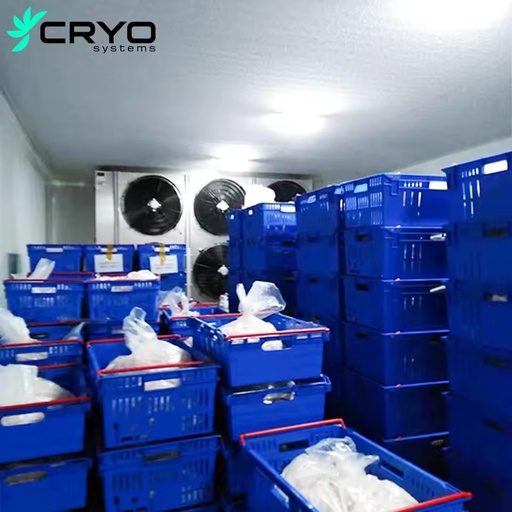 Modular 100mm Cold Room Panel Energy Saving for Frozen Meat Seafood Storage Industrial Walk-in Cold Room