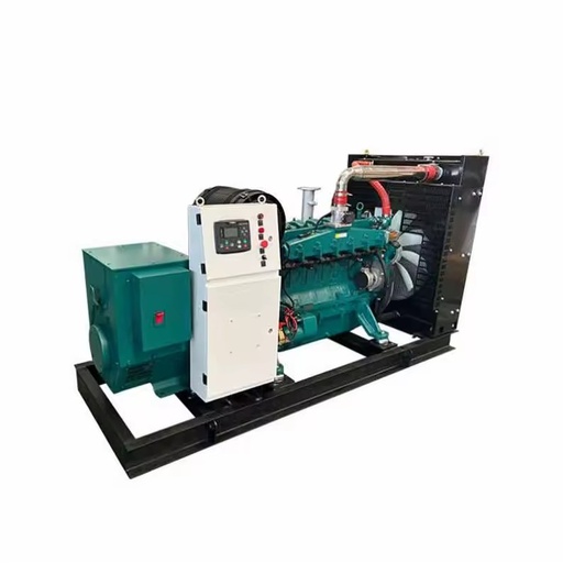 Biomass Electricity Generation Plant 50-200kw CHP LPG/Natural Gas/Biogas Syngas Electric Generator 100% Copper Wire