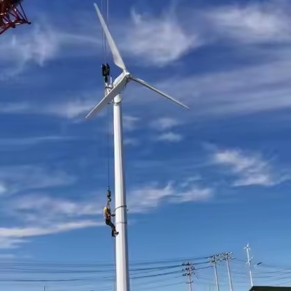 Large Park Landscape Vertical Axis Wind Turbine 1KW 3KW Decorative Wind Generator for Municipal Scenic Lighting Project