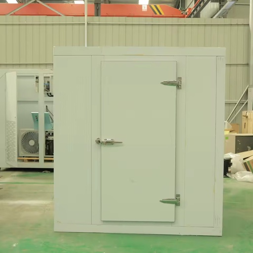 Freezing Room Cold Storage with Compressor for Fruit Vegetables Food Flowers Tea and Seedlings-Energy Saving & Soundproof
