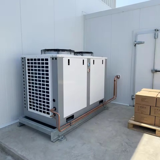 Cost-Saving Copeland U-Type Air Cooled Condenser Eco-Friendly R-404A Refrigerant Reliable Cooling Unit for Medium Low