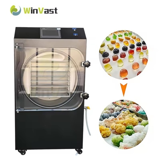 Stainless Steel Freeze Dryer Easy Clean for Food Herbal Cosmetic Raw Material Pet Food Lyophilizer Machine Pump
