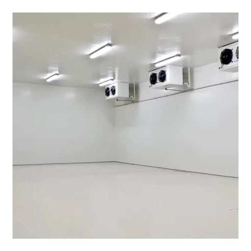 Commercial Cold Room Storage Equipment 100/200 Square Cold Storage Project with Refrigeration Equipment for Various Applications