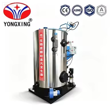 Vertical Small Biomass Pellet Steam Generator 100kg/h Automatic Wood Burning Steam Generator for Laundry Factory