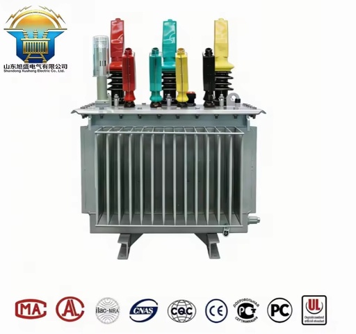 S13-100kVA/20KVA/50KVA Three Phase Oil Power Transformer 10kV to 0.4kV 50/60Hz Factory Direct for Rural Distribution Use