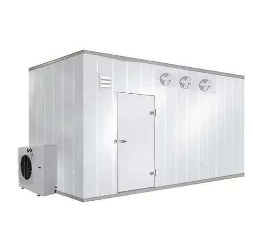 Customized Walk-in Cold Storage Container Freezer Compressor Energy Conservation Meat Food Fruit Restaurant Medical Use New