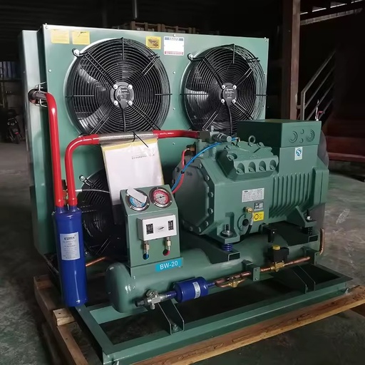 Durable Outdoor 380V Energy Saving Automatic Motor Air Cooled Compressor Brand Cold Storage Condensing Unit