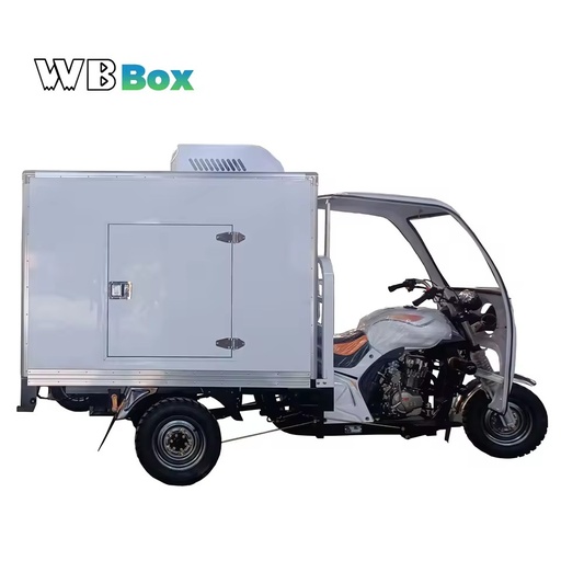 Petrol Gasoline Tricycle with Refrigerated Box Commercial Cold Room