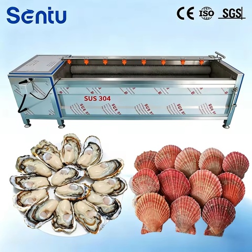 Automatic Root Vegetable Brush Cleaning Machine High Efficiency Roller Washer for Onion Garlic and Rhizome Foods