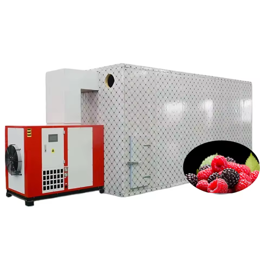High Efficiency Food Dehydrator Fully Automatic Heat Pump Dryer Industrial Drying Equipment For Small Soft Fruits