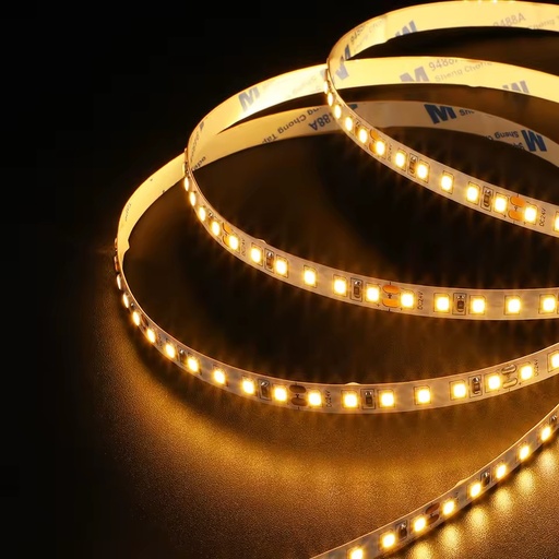 LED Strip Light D12V 24V 120LEDs/m 3000K 4000K 6500K Flexible LED Stripe Lights for Outdoor Landscape Decor Lighting