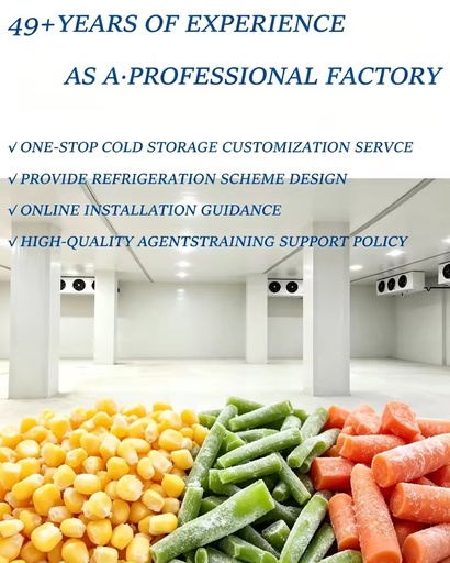 Large Capacity Cold Storage Warehouse Cold Room Trade Assurance Blast Freezer for Frozen Sweet Corn Processing
