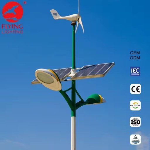 Outdoor Custom Off-grid Outdoor Lighting System Project Horizontal Axis Wind Turbines Energy Wind Solar Hybrid Street Light