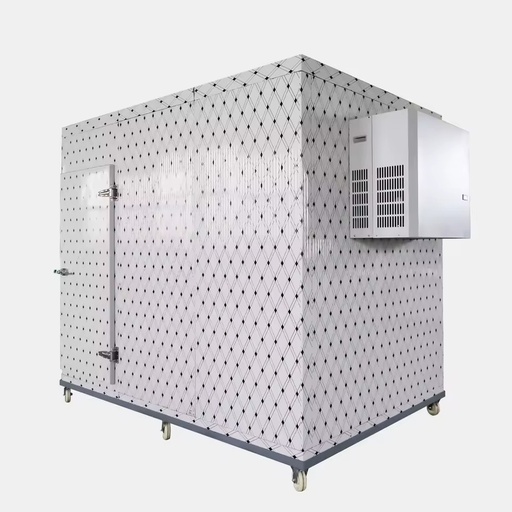 Cold Room with DC Inverter Monoblock Refrigeration Unit System for Sale