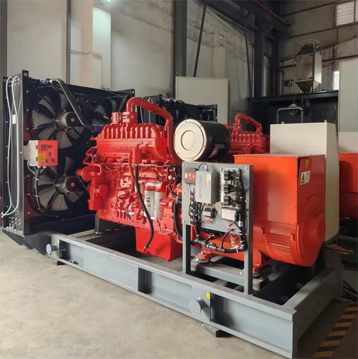 10-1000kw Dual-Fuel Natural Gas Generator with Electric Start 400V/480V 70% Efficiency IP23 50/60Hz Water Cooled 360A