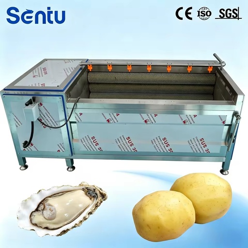Industrial Brush Roller Washing Machine Potato Carrot Ginger Root Vegetable Washing Peeling Equipment for Food Processing Line