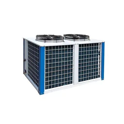 Energy Saving Compressor Freezer Equipment U-Shaped Box-Type Air-Cooled Condensing Unit with Compressor