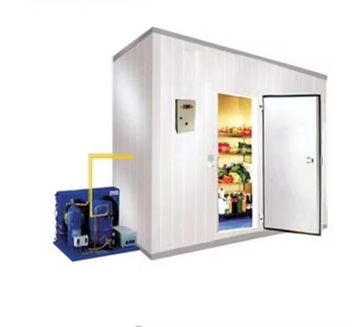 Freezer Refrigerator Unit for Meat and Vegetable Storage with Automatic Compressor and Motor Energy Saving Fruit & Cold Storage