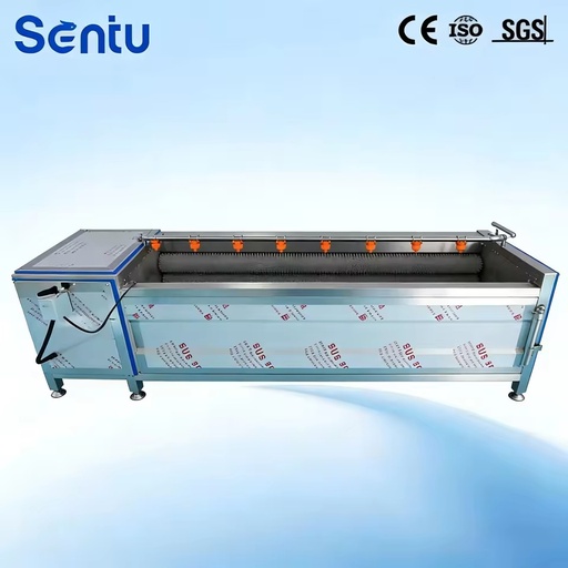 Continuous Brush Roller Washing Machine for Food Heavy Duty Commercial Brush Roller Washer Brush Roller Washer for Vegetables