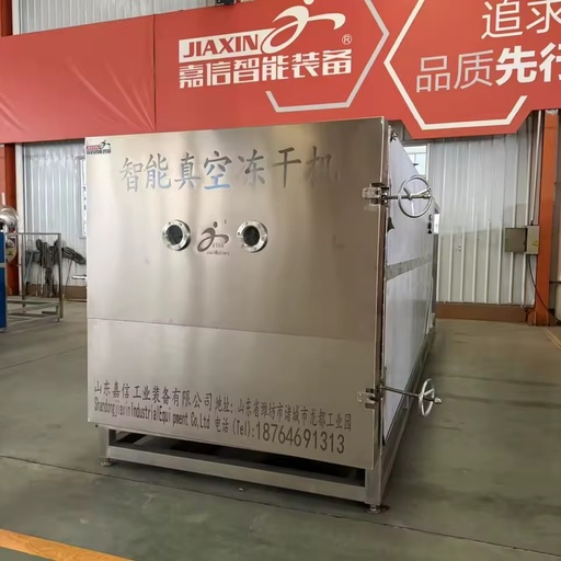 Eco Friendly Energy Efficient Design Low Power Consumption Rapid Cooling Technology Smart Vacuum Food Processing PLC Motor