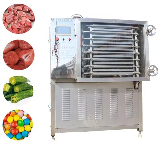 Small Commercial Intelligent Automatic Freeze Dryer with PLC Pump & Motor Stainless Steel for Fruit & Vegetable Crisps