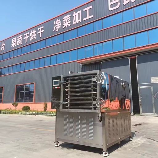 Stainless Steel SUS304 Commercial Freeze Drying Equipment High Safety Energy Saving Automatic for Food Processing