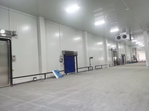 Meat and Fish Freezing Cold Room Cold Storage Walkin Fish Cold Storage Solution Industrial Cold Room Case for Seafood