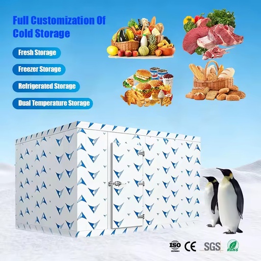 Commercial Walk-In Freezer Cool Room Custom Small Medium Large Solar Cold Room for Small Retail Shop Warehouse Use