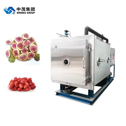 Food-using SINOBIZ Vacuum Freeze Dryer Making Food Fruit Vegetable Chips Drying Machine Manufacturer