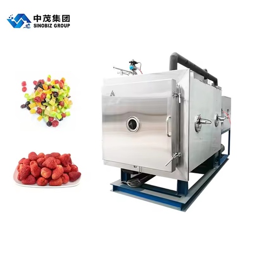 Fruit Food Vegetable Freeze Dryer Lyophilizer with Vacuum Pump Machine Easy Operation