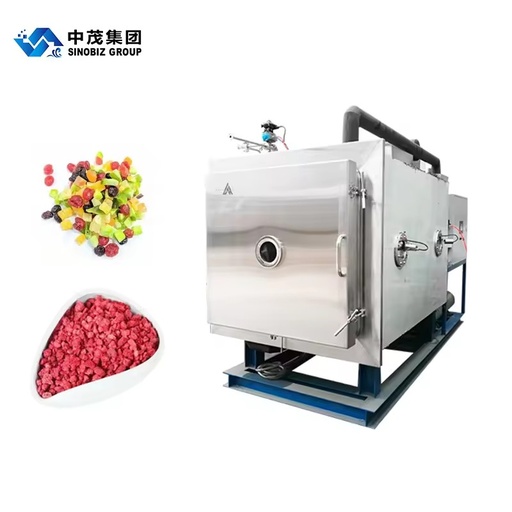 High Quality Freeze Drying Equipment Vacuum Freeze Dryer Machine SINOBIZ Hot Selling