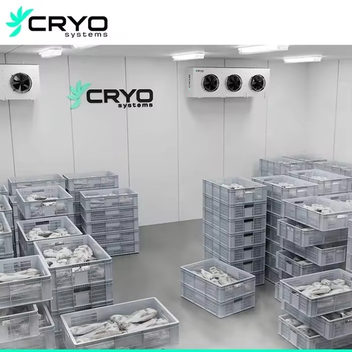 Chiller Room Modular Blast Freezers Frozen Cold Rooms Energy Saving Pump Engine Motor CE Certified for Sale