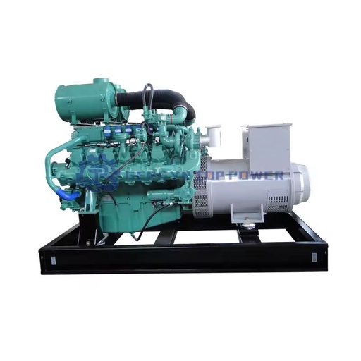 30kw Mini Septic Tank Turbine Biogas Digester Generator Syngas Biomass Natural Gas Auto Start IP55 110-480V
