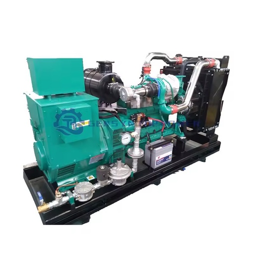 50KW Single Phase Syngas Biomass Gas Biogas Natural Gas Generator Set Auto Start 95% Efficiency Water Cooling IP55 Engine