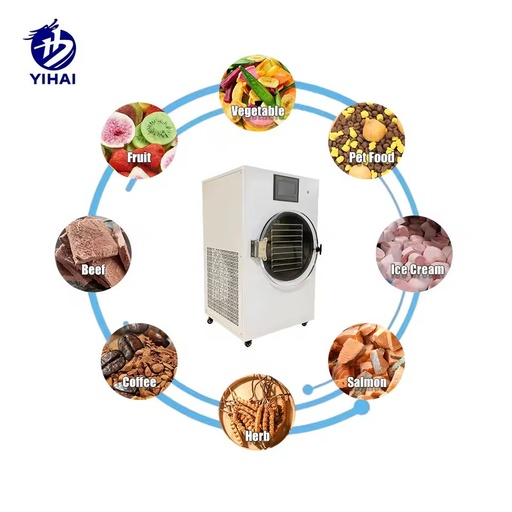 Small Vacuum Freeze Drying Machine Compact Energy Saving Unit for Strawberry Banana Mango Food Processing