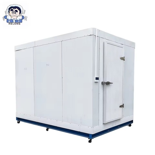 Walkin Cooler Cella Frigo Commercial Meat Chiller Refrigerator Freezer Container 20ft with Refrigerated Camera