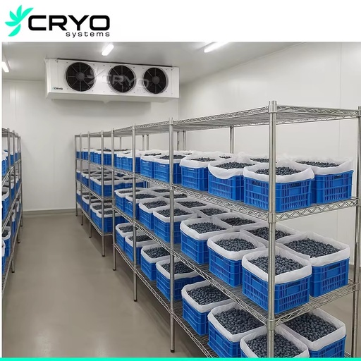 Fruit Vegetable Preservation Controlled Atmosphere Cold Room with Engine Motor Pump-Eco-Friendly Energy Saving Storage System