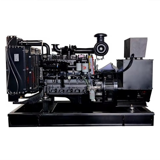 For 200KW 250KVA 312.5KVA 375KVA Customized Super Silent Type 50Hz/60Hz Water Cooled Generators Alternator 2 Year Warranty