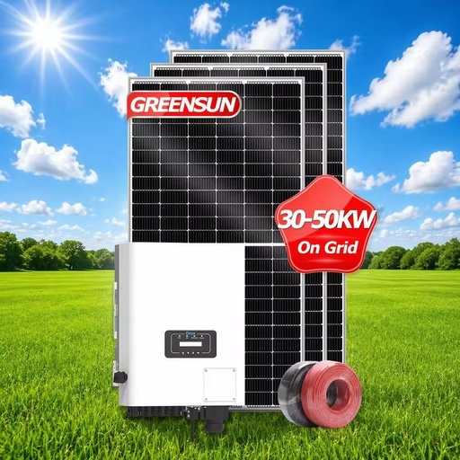 Selling Electricity on Grid Solar System 30kw Solar Energy System on Grid