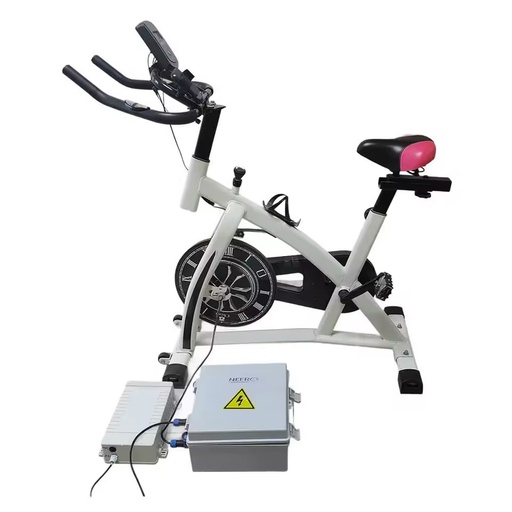 Intelligent APP Pedal Power Generator with Specific Control Box