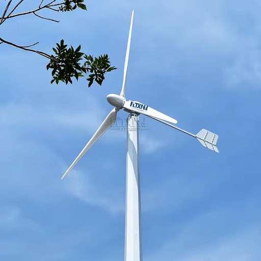 5kw 1kw 3kw 10kw 20kw 50kw 220v 380v Industrial Wind Electricity Generator Horizontal Windmill Windmolen Turbine Generators