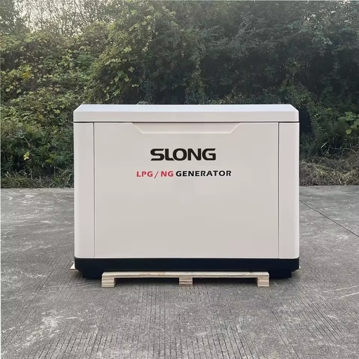 Gasoline Petrol LPG CNG Auto Eco-Friendly 100% Copper Wire Brushless Alternator 24V 50Hz AVR Voltage Regulator Electric