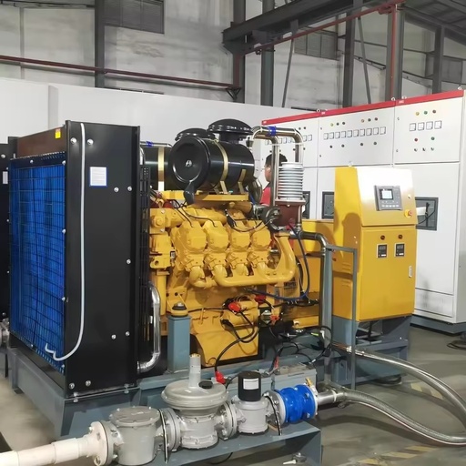 Chicken Farm/Sewage-Treatment Plant Continuous Power 100kw 70% Efficiency 400V/480V 50/60Hz Biogas Generator Water Cooled IP23