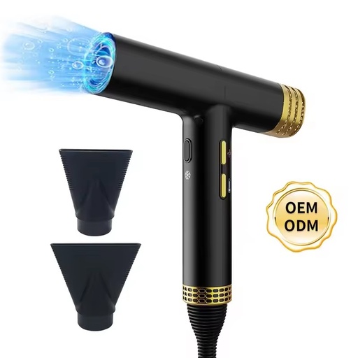 Lightweight High Speed 110000 RPM Negative Ion Mini Manufacturer Brushless BLDC Motor One Step Hair Dryer